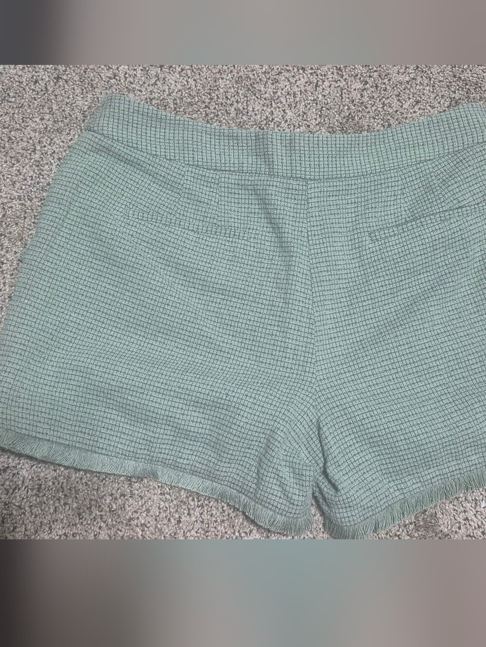 Kaari Blue Sage Green Textured Shorts Size 10 Tweed Fringe Hem Lined Zip Front - Picture 6 of 6